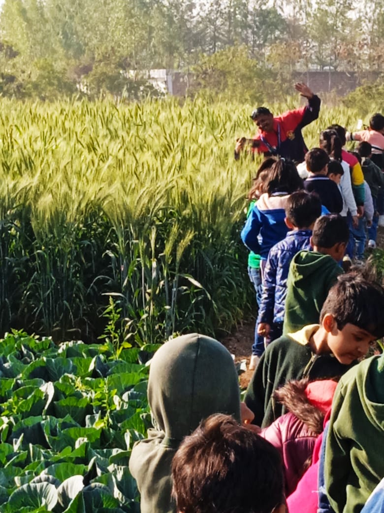 Nature Walk – DWPS Rajkot Kindergarten Activity-An Initiative to Teach Beyond the Classrooms