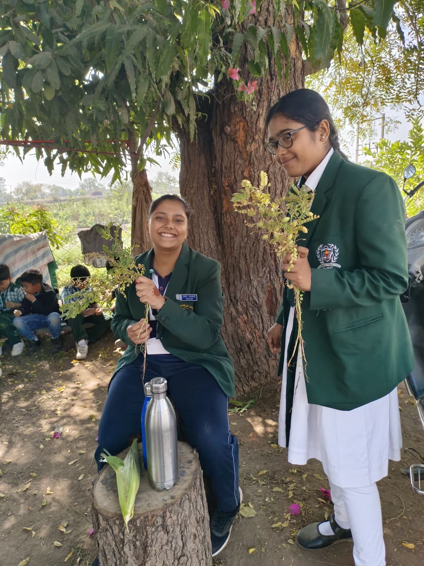 Learning Beyond the Classroom in Pre Primary to Promote Real Life Experience